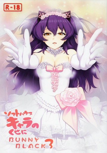 ソフトハウスキャラのくせに BUNNY BLACK 3 