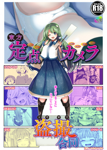 東方定点カメラ盗撮合同 