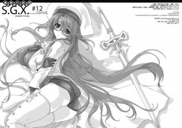 S.G.X.#12 