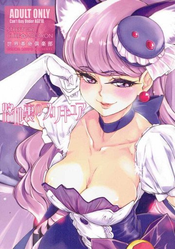 路地裏のプリキュア 
