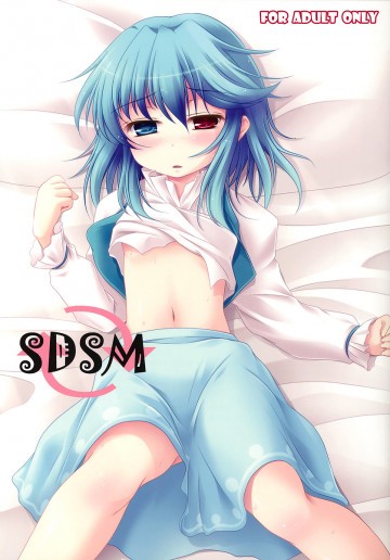 SDSM 