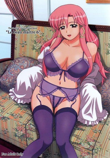 Le beau maitre 6 