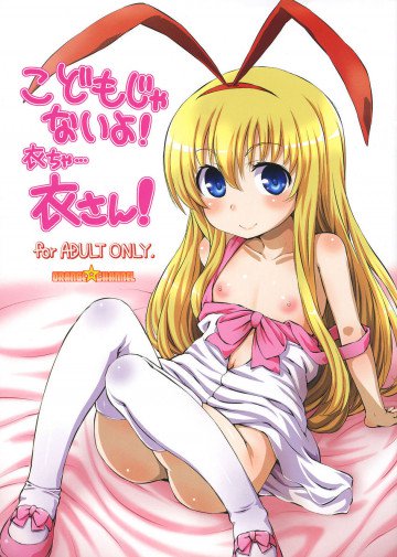 こどもじゃないよ!衣ちゃ…衣さん! 