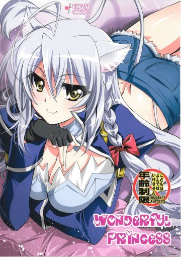 Wonderful Princess 