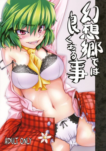 幻想郷では良くある事 