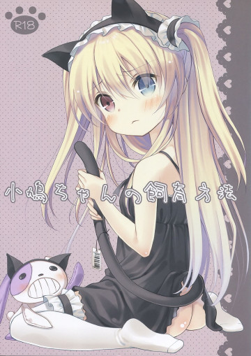小鳩ちゃんの飼育方法 