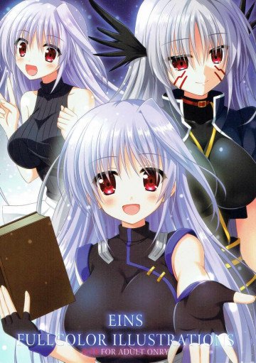 EINS FULLCOLOR ILLUSTRATIONS 