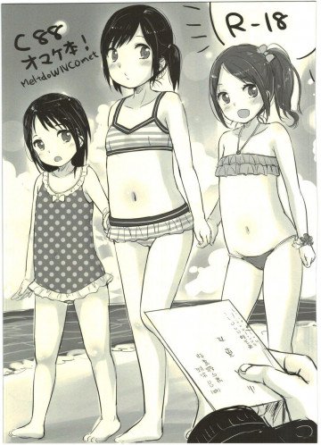C88おまけ本 