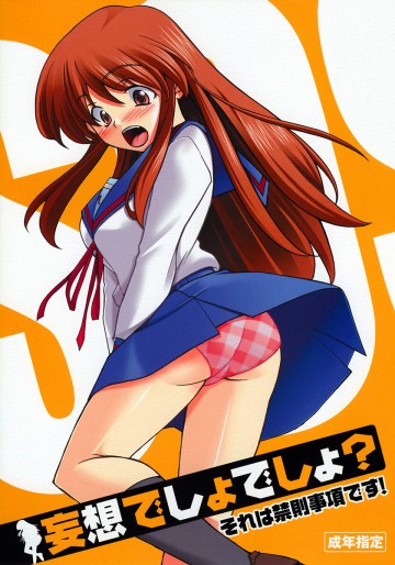 妄想でしょでしょ?「それは禁則事項です!」 