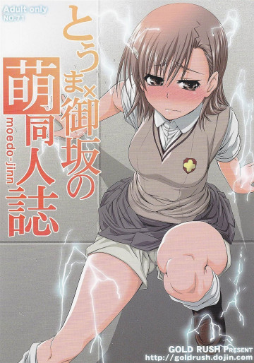 トウマ×御坂の萌同人誌 