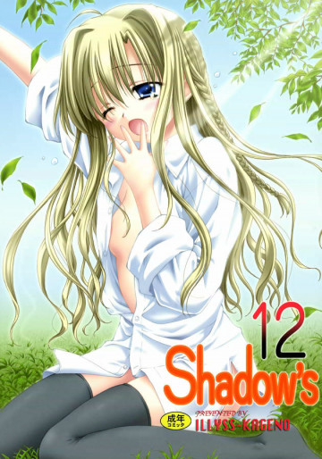 Shadow's 12 