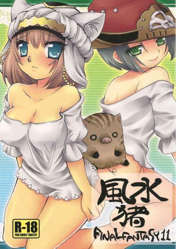 風水猪 