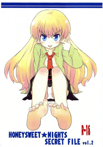 HONEYSWEET★NIGHTS SECRET FILE vol.2 