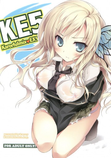 K.E.5 - Karorfulmix EX5 