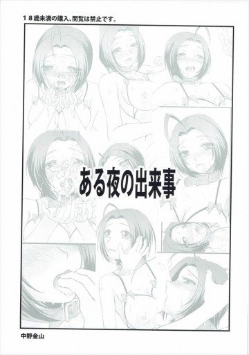 ある夜の出来事 