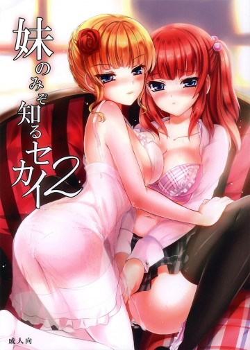 妹のみぞ知るセカイ2 
