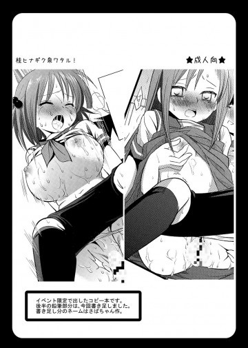 桂ヒナギク泉ワタル 