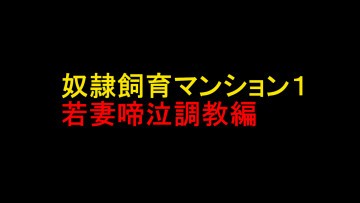 奴隷飼育マンション1・若妻啼泣調教編 