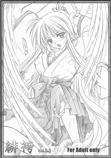 緋袴 vol 5.5 セット 