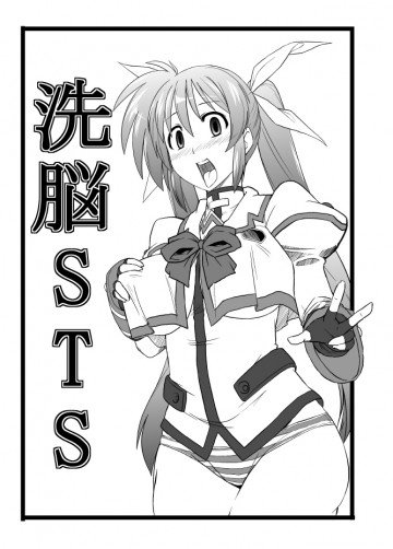 洗脳STS 
