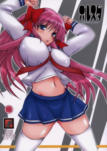 ホルスタ 1