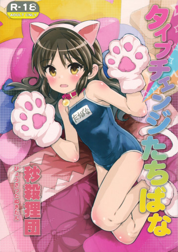 タイプチェンジたちばな 