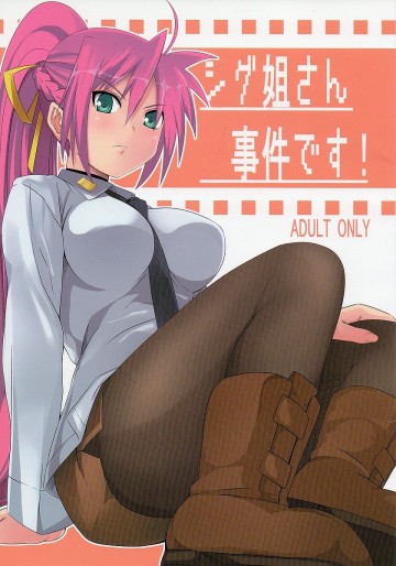 シグ姐さん事件です! 