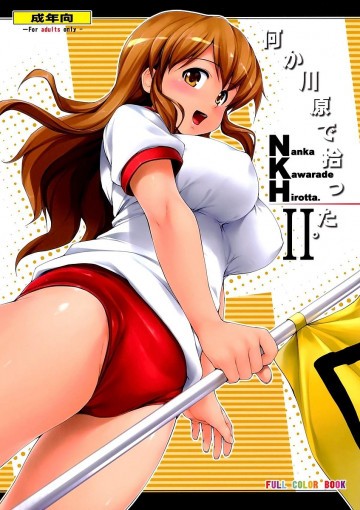 NKH II 何か河原で拾った2 
