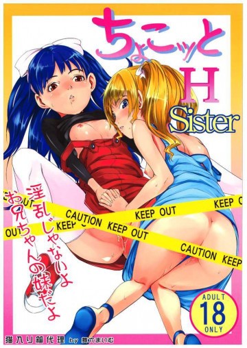 ちょこっと H Sister 