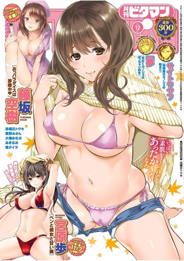 ビタマン 2017年12月号 