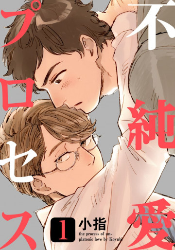 不純愛プロセス 