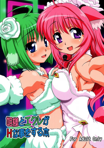 姫様とエクレがHな事をする本 