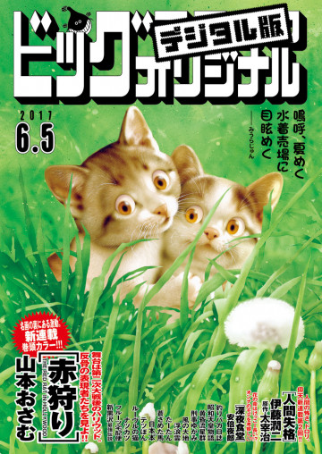 ビッグコミックオリジナル 2017年11号 