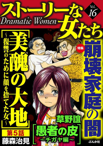 ストーリーな女たち崩壊家庭の闇 Vol.16 