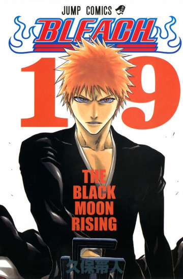 BLEACH モノクロ版 19