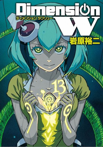ディメンション W 13