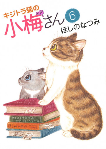 キジトラ猫の小梅さん 6