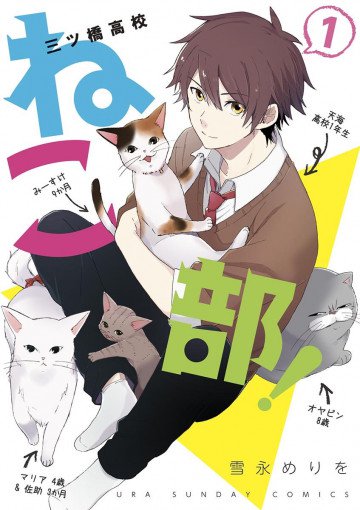 三ツ橋高校ねこ部! 1