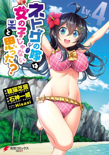 ネトゲの嫁は女の子じゃないと思った? 4