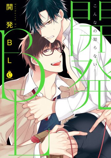 開発BL 