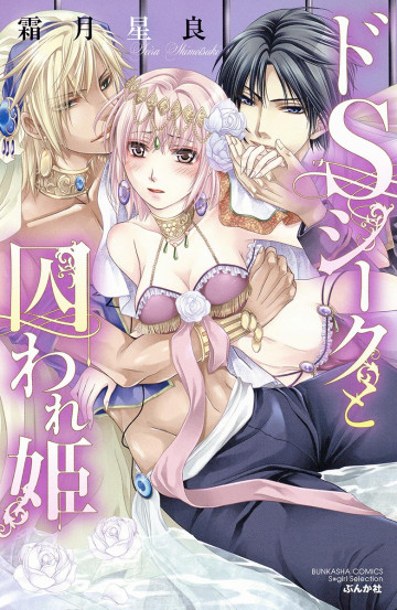 ドSシークと囚われ姫 