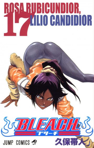 BLEACH カラー版 17