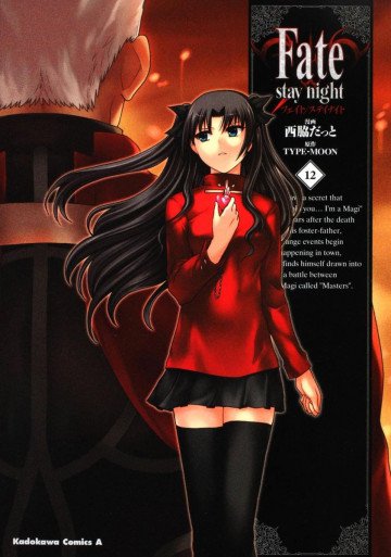 Fate/stay night 12