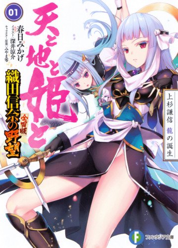 織田信奈の野望 全国版 天と地と姫と 1