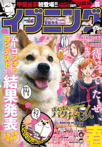 イブニング 2017年6号 
