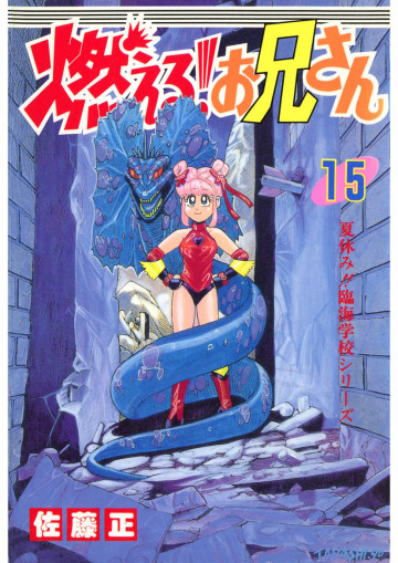 燃える!お兄さん 15