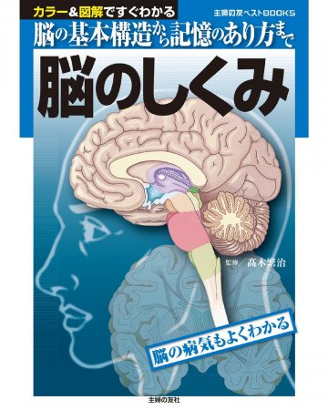 脳のしくみ 