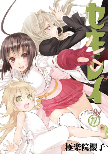 セキレイ 17
