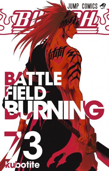 BLEACH モノクロ版 73