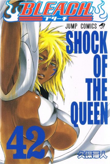 BLEACH モノクロ版 42